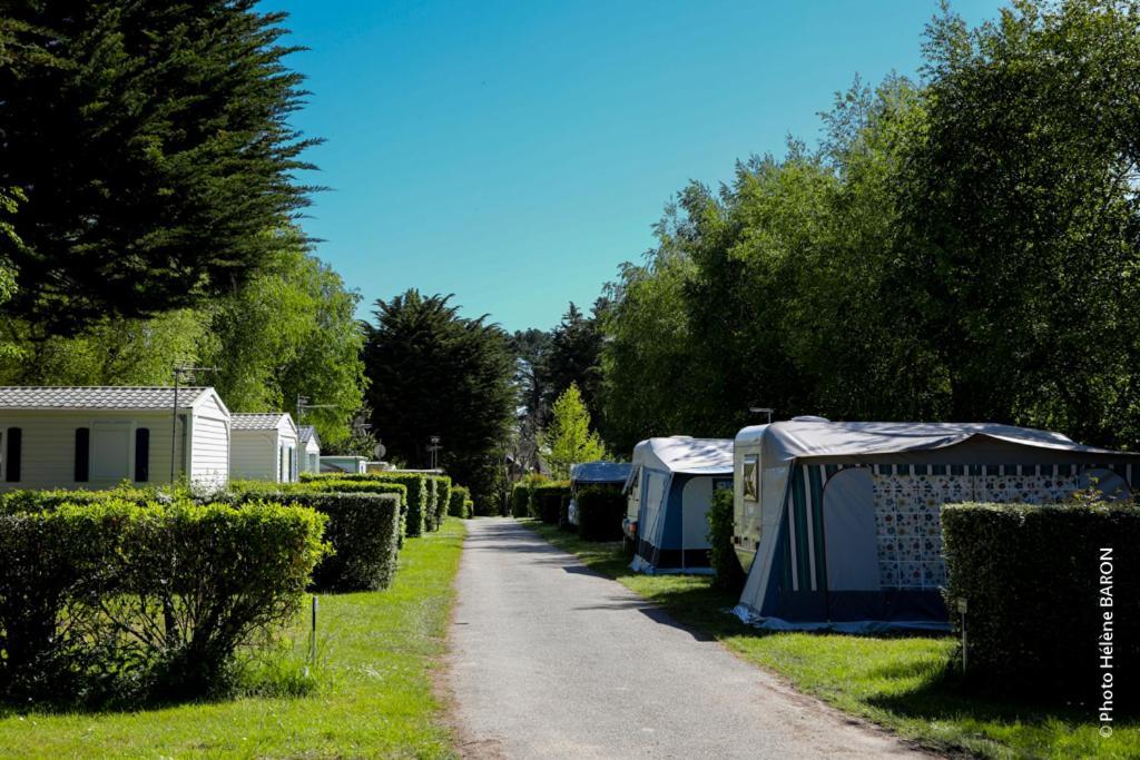 Camping L'Oasis ดัมแกน ภายนอก รูปภาพ